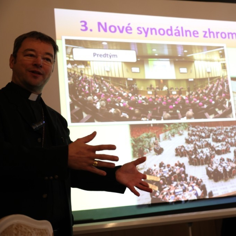 Synodálna cesta pokračuje