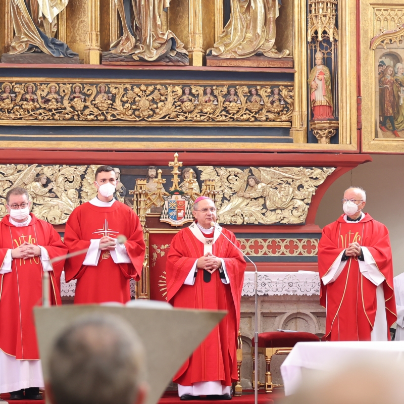 Začína diecézna fáza biskupskej synody