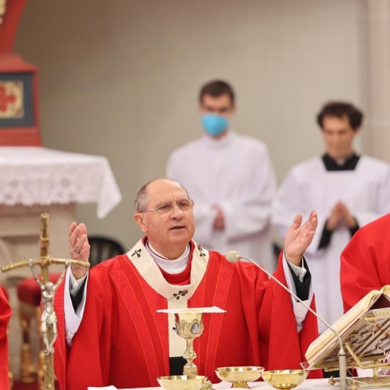 Začína diecézna fáza biskupskej synody